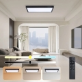 Brilagi - LED Dimmable badrum taklampa FRAME SMART LED/30W/230V 30x60 cm 3000-6000K IP44 svart + fjärrkontroll