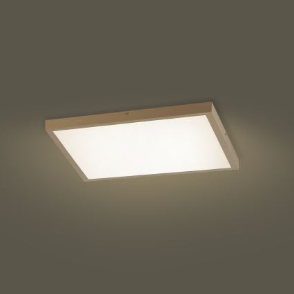 Brilagi - FRAME SMART LED dimbar takarmatur för badrum 50W/230V 60x60 cm 3000-6000K IP44 beige + fjärrkontroll