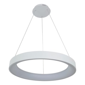 Brilagi - LED-dimmbar pendellampa på vajer FALCON II LED/99W/230V 3000-6500K Ø 60 cm vit + fjärrkontroll