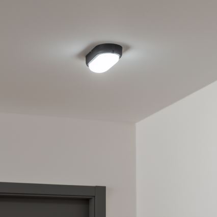 Brilagi - LED Heavy-duty belysning TakIMA LED/12W/230V IP65 svart