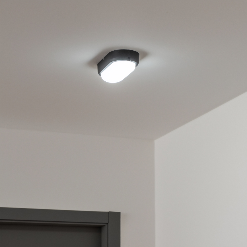 Brilagi - LED Heavy-duty belysning TakIMA LED/12W/230V IP65 svart