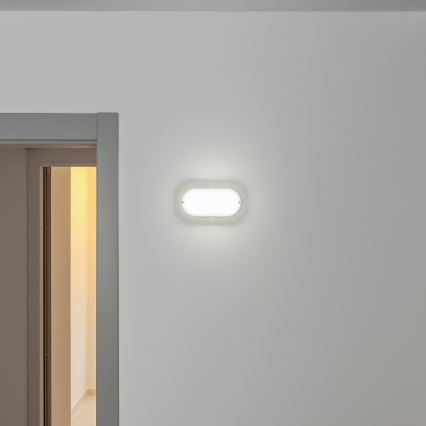 Brilagi - LED Heavy-duty belysning TakIMA LED/12W/230V IP65 vit