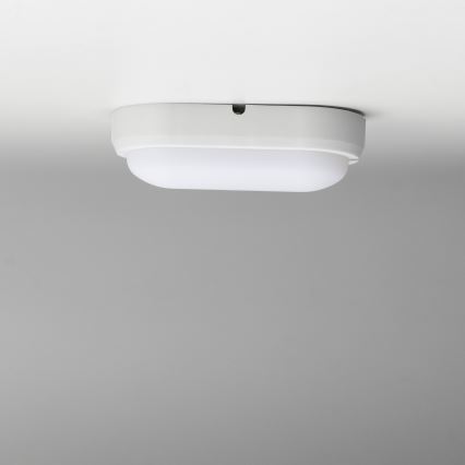 Brilagi - LED Heavy-duty belysning TakIMA LED/12W/230V IP65 vit
