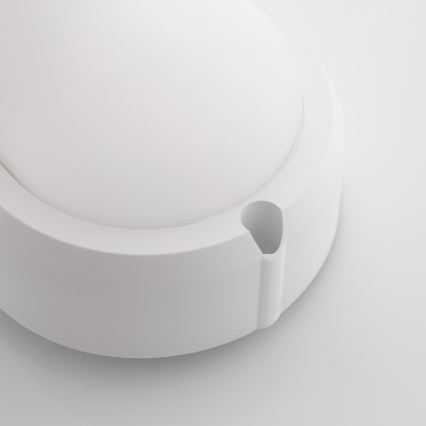 Brilagi - LED Heavy-duty belysning TakIMA LED/12W/230V IP65 vit