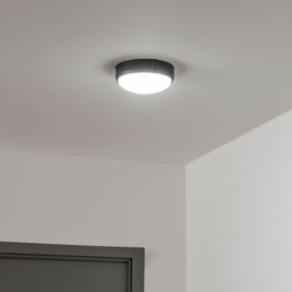 Brilagi - LED Industribelysning tak SIMA LED/12W/230V IP65 svart