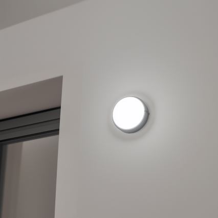 Brilagi - LED Industribelysning tak SIMA LED/12W/230V IP65 svart