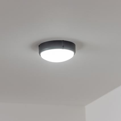 Brilagi - LED Industribelysning tak SIMA LED/12W/230V IP65 svart