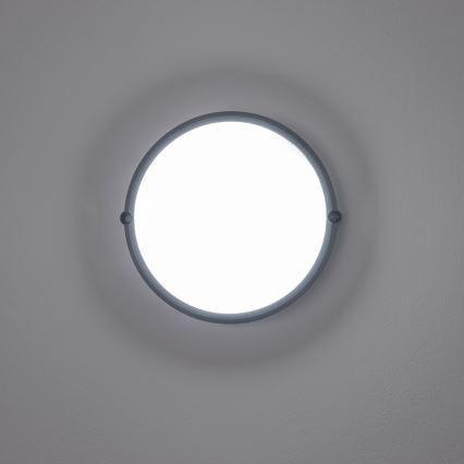 Brilagi - LED Industribelysning tak SIMA LED/12W/230V IP65 svart