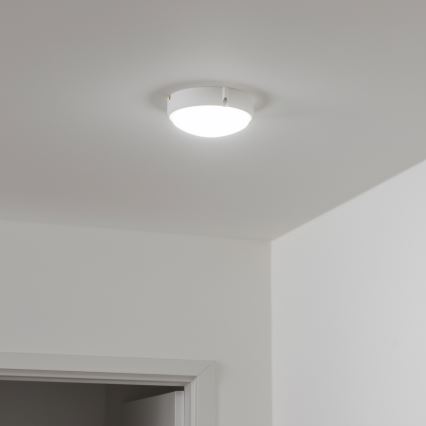 Brilagi - LED Industribelysning tak SIMA LED/12W/230V IP65 vit