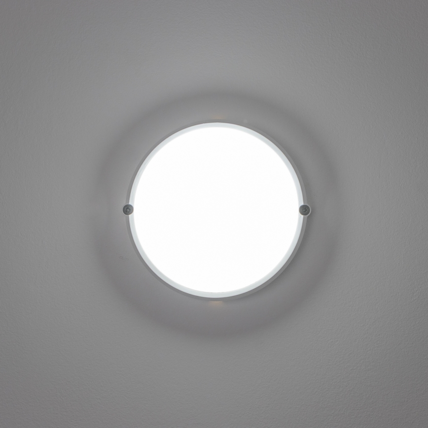 Brilagi - LED Industribelysning tak SIMA LED/12W/230V IP65 vit