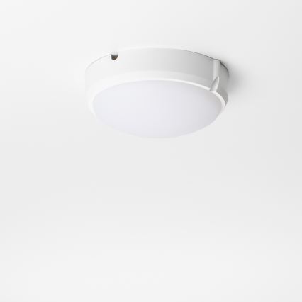 Brilagi - LED Industribelysning tak SIMA LED/12W/230V IP65 vit