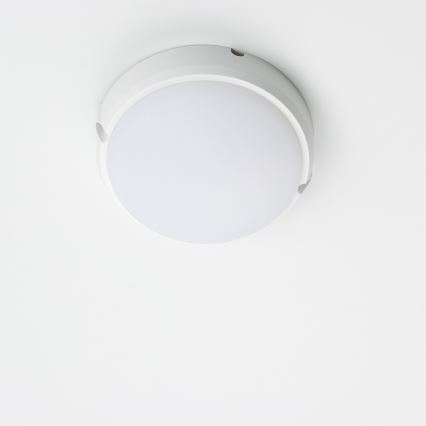 Brilagi - LED Industribelysning tak SIMA LED/12W/230V IP65 vit