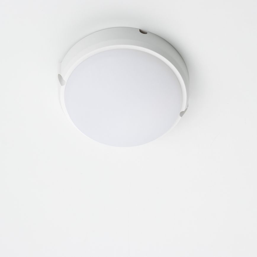 Brilagi - LED Industribelysning tak SIMA LED/12W/230V IP65 vit