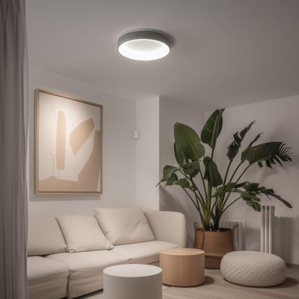 Brilagi - LED ljusreglerad taklampa  FALCON LED/40W/230V 3000-6500K grå + fjärrkontroll