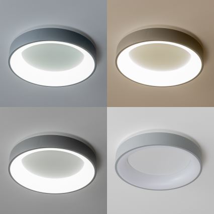 Brilagi - LED ljusreglerad taklampa  FALCON LED/40W/230V 3000-6500K grå + fjärrkontroll