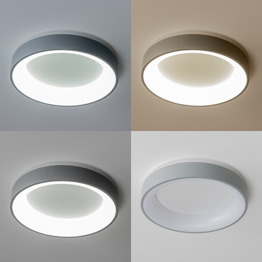 Brilagi - LED ljusreglerad taklampa  FALCON LED/40W/230V 3000-6500K grå + fjärrkontroll