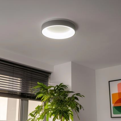 Brilagi - LED ljusreglerad taklampa  FALCON LED/40W/230V 3000-6500K grå + fjärrkontroll
