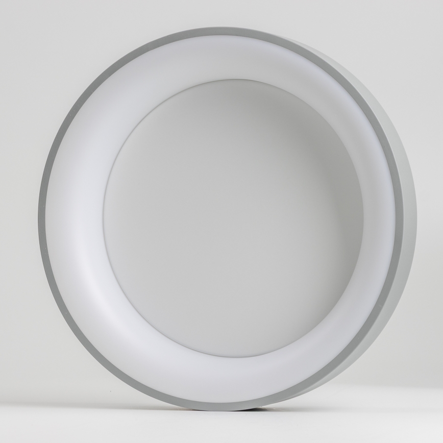 Brilagi - LED ljusreglerad taklampa  FALCON LED/40W/230V 3000-6500K grå + fjärrkontroll