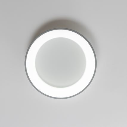 Brilagi - LED ljusreglerad taklampa  FALCON LED/40W/230V 3000-6500K grå + fjärrkontroll