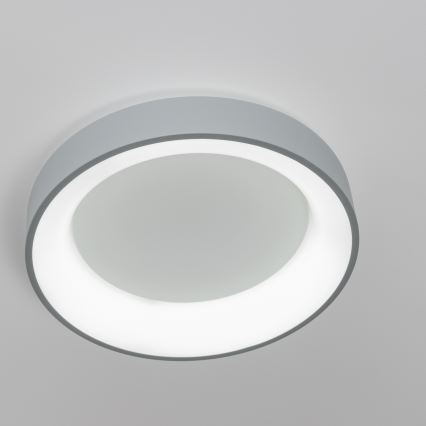 Brilagi - LED ljusreglerad taklampa  FALCON LED/40W/230V 3000-6500K grå + fjärrkontroll