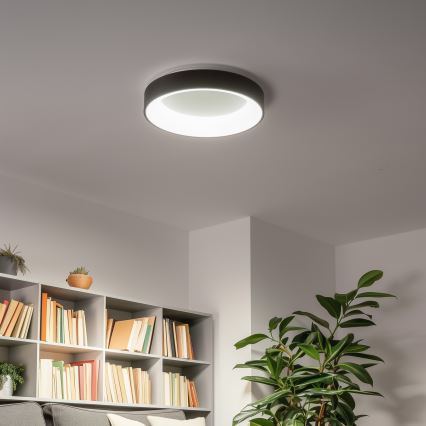 Brilagi - LED ljusreglerad taklampa  FALCON LED/40W/230V 3000-6500K svart  + fjärrkontroll