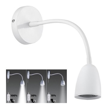 Brilagi - LED Justerbar ljusstyrka vägglampa  LED/4W/230V