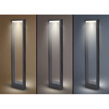 Brilagi - LED-lampa för utomhusbruk RAGUSA LED/7W/230V 3000/4000/6000K antracit IP54 80 cm