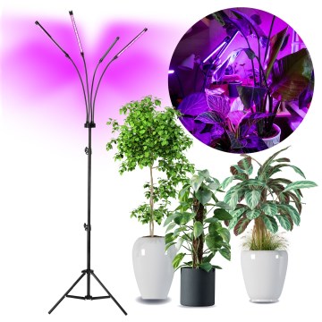 Brilagi - LED Ljusreglerad flexibel golvlampa för att odla växter VITABLOOM 4xLED/7,5W/230V svart