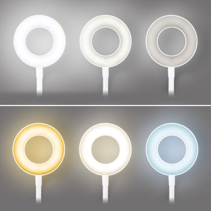 Brilagi - LED ljusreglerad lampa med klämma ORBELA LED/8W/230V 3000/4000/5000K vit