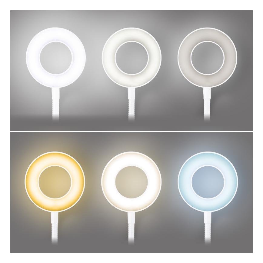 Brilagi - LED ljusreglerad lampa med klämma ORBELA LED/8W/230V 3000/4000/5000K vit