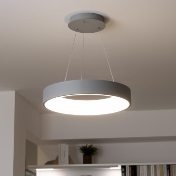 Brilagi - LED ljusreglerad Ljuskrona med upphängningsrem  FALCON LED/40W/230V 3000-6500K grå + fjärrkontroll