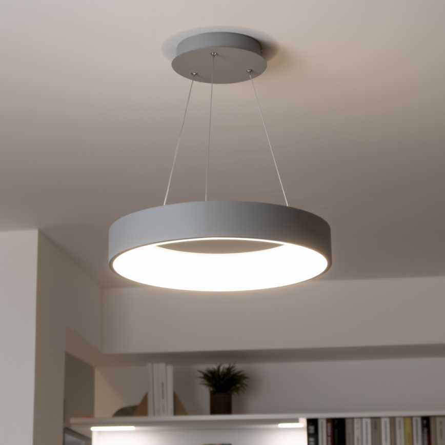 Brilagi - LED ljusreglerad Ljuskrona med upphängningsrem  FALCON LED/40W/230V 3000-6500K grå + fjärrkontroll