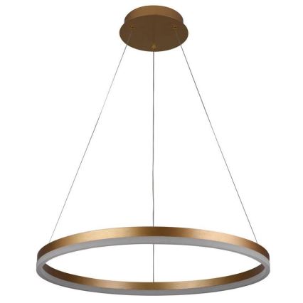 Brilagi - LED ljusreglerad ljuskrona på textilsladd CIRCLE LED/42W/230V 3000-6500K + fjärrkontroll