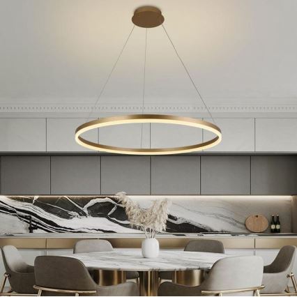 Brilagi - LED ljusreglerad ljuskrona på textilsladd CIRCLE LED/55W/230V 3000-6500K guld + fjärrkontroll