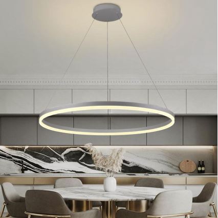 Brilagi - LED ljusreglerad ljuskrona på textilsladd CIRCLE LED/55W/230V 3000-6500K silver + fjärrkontroll