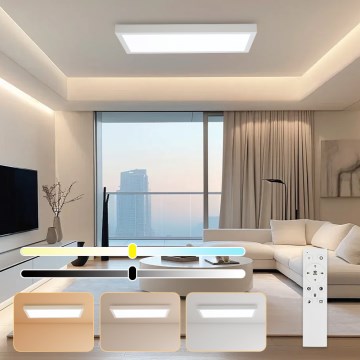 Brilagi - LED ljusreglerad taklampa till badrum FRAME SMART LED/30W/230V 30x60 cm 3000-6000K IP44 vit + fjärrkontroll