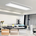 Brilagi - LED ljusreglerad taklampa till badrum FRAME SMART LED/50W/230V 30x120 cm 3000-6000K IP44 vit + fjärrkontroll