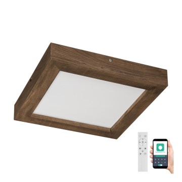 Brilagi - LED ljusreglerad taklampa till badrum WOODY FRAME LED/24W/230V ek 30x30 cm 3000-6000K IP44 + fjärrkontroll