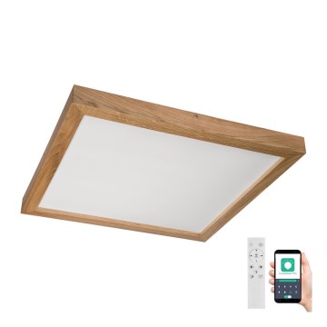 Brilagi - LED ljusreglerad taklampa till badrum WOODY FRAME LED/50W/230V ek 60x60 cm 3000-6000K IP44 + fjärrkontroll