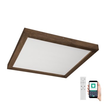 Brilagi - LED ljusreglerad taklampa till badrum WOODY FRAME LED/50W/230V ek 60x60 cm 3000-6000K IP44 + fjärrkontroll