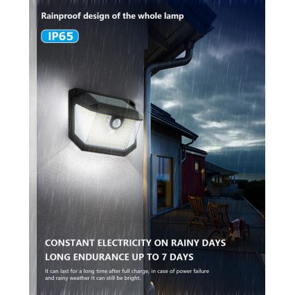 Brilagi - LED solcellsvägglampa med rörelse- och skymningssensor WALLIE LED/4W/5,5V 1200mAh 6500K IP65