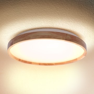 Brilagi - LED taklampa ALSON LED/24W/230V ek