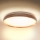 Brilagi - LED taklampa ALSON LED/24W/230V ek