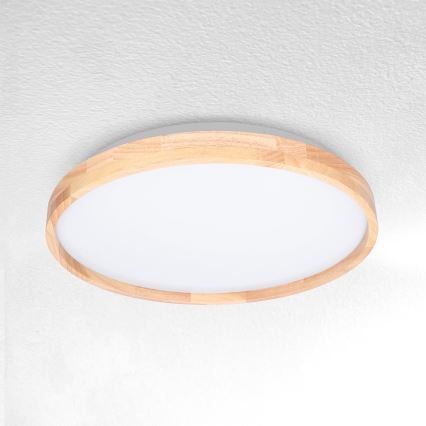Brilagi - LED taklampa ALSON LED/24W/230V ek