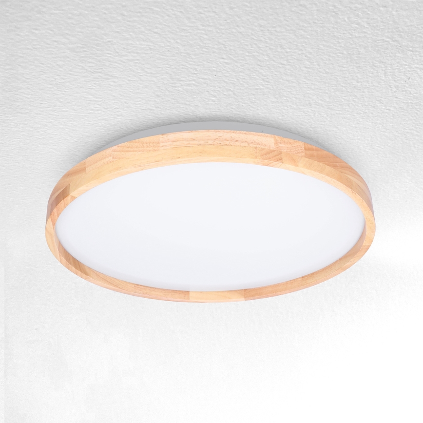 Brilagi - LED taklampa ALSON LED/24W/230V ek