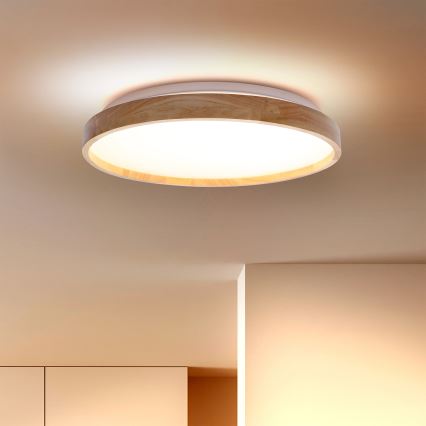 Brilagi - LED taklampa ALSON LED/24W/230V ek