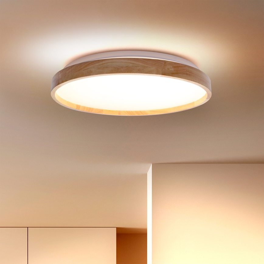 Brilagi - LED taklampa ALSON LED/24W/230V ek