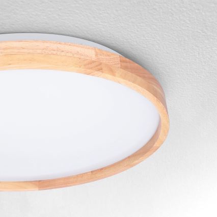 Brilagi - LED taklampa ALSON LED/24W/230V ek