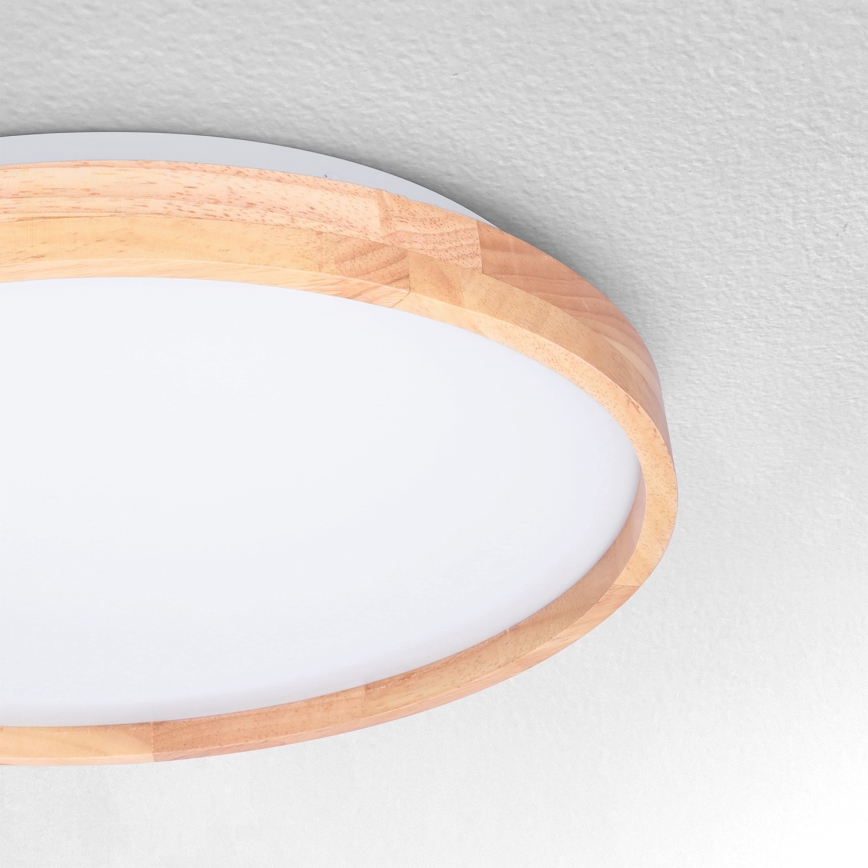 Brilagi - LED taklampa ALSON LED/24W/230V ek