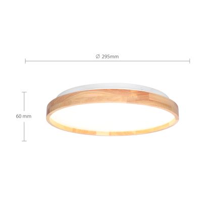 Brilagi - LED taklampa ALSON LED/24W/230V ek